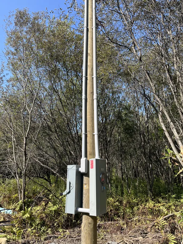 Poteau en bois en forêt