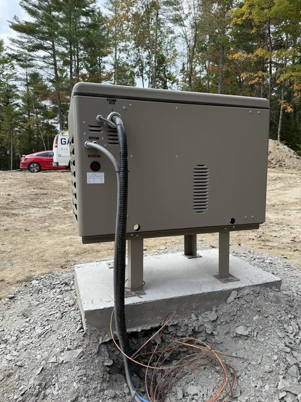 Transformateur sur pied en forêt